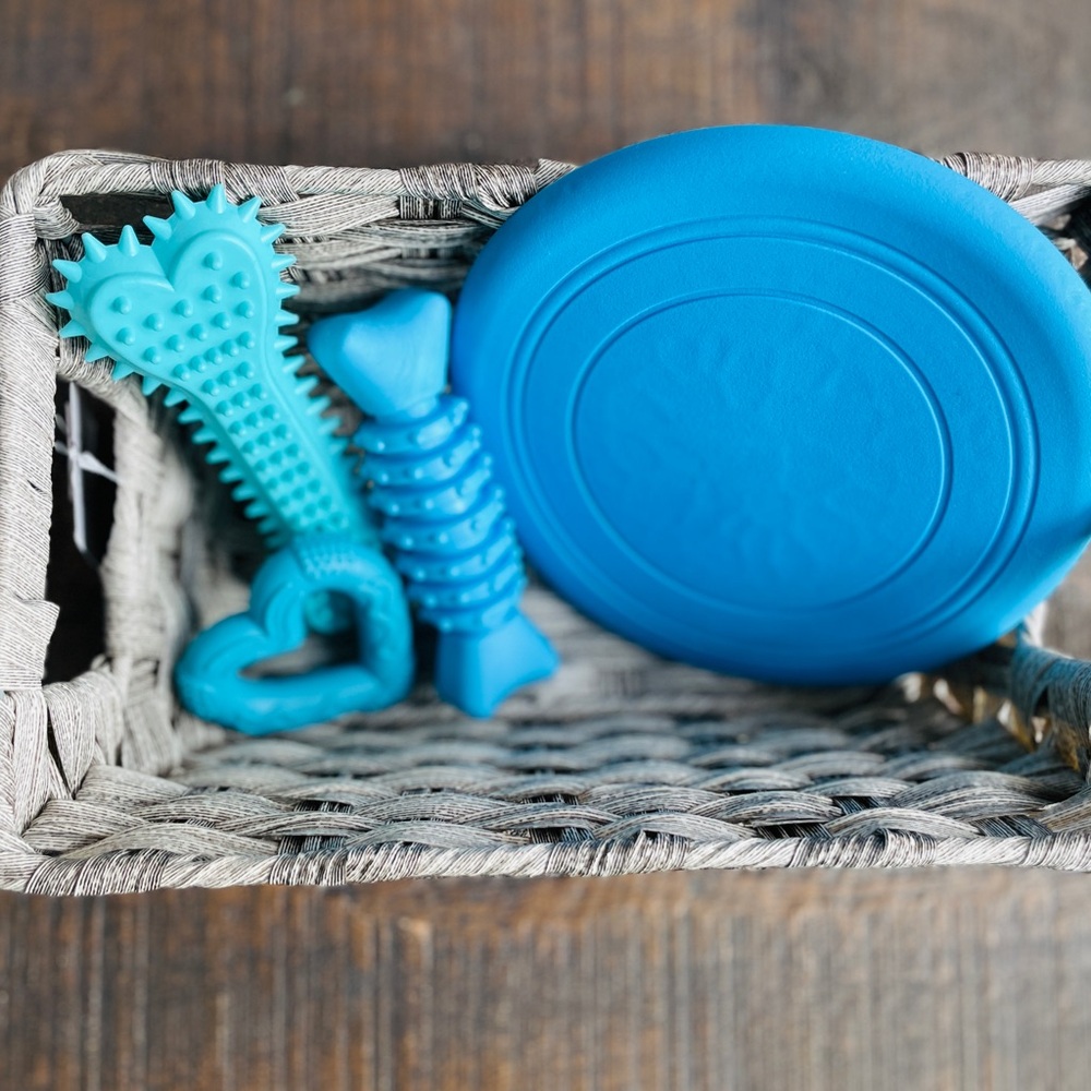 Brand New 🆕🐕‍🦺🐾 Pet Packs 🆕🦴🐾💞 Durable Chew Toys 💓🦴💙